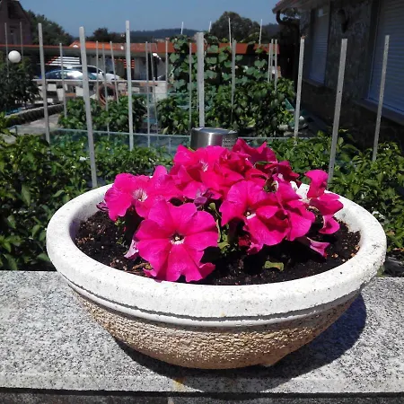 Asun Саншеншо