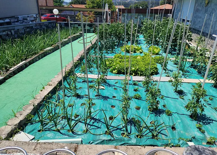 Asun Гостьовий будинок