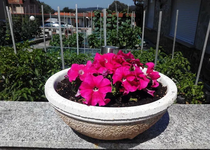 Asun Саншеншо